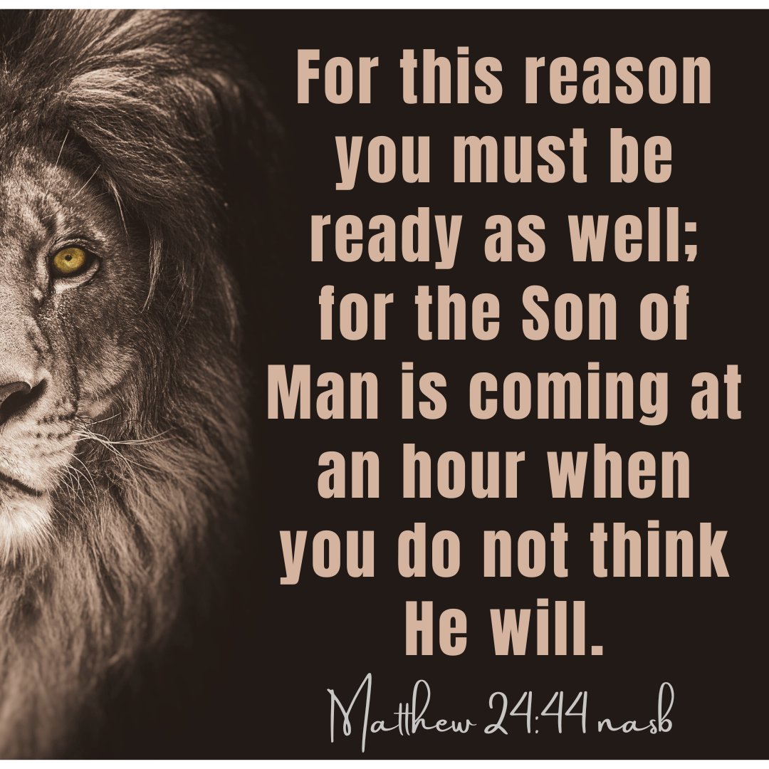 transformalife2's tweet photo. Scripture of the Day

https://t.co/4WbYjsBRjn

#beready #beprepared #rapture #secondcoming #salvation #monday #mondaymotivation #Jesus #sermon #scriptureoftheday #bibleverse #Biblestudy #inspiration #transform #wisdom #holy #God #transformation #imagemakers https://t.co/uBJfDXhph6