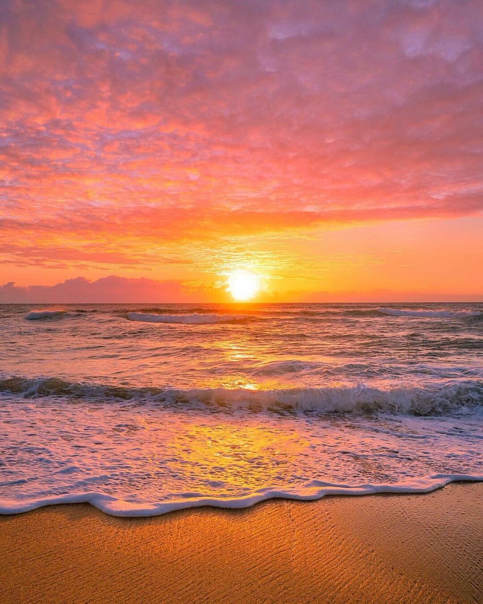 helena_mar19's tweet image. Good evening friends ✨

(📷 Pinterest)