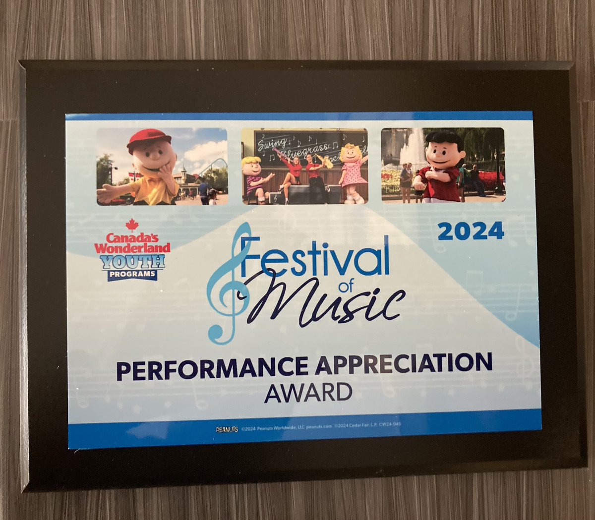 We wish our gr. 8 grads nothing but success in high school! Remember, you always have a home here at Countryside, just make sure you ask permission from past teachers and check in @ the office if visiting 😉 Well done at the Wonderland Music Festival to our first ever band Ss!