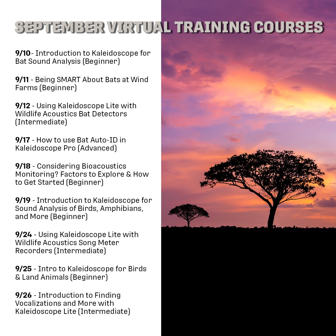 🍂Fall into a free virtual training course the month of September! 😅🦇🦉

Sign up here: loom.ly/CbtT7bc