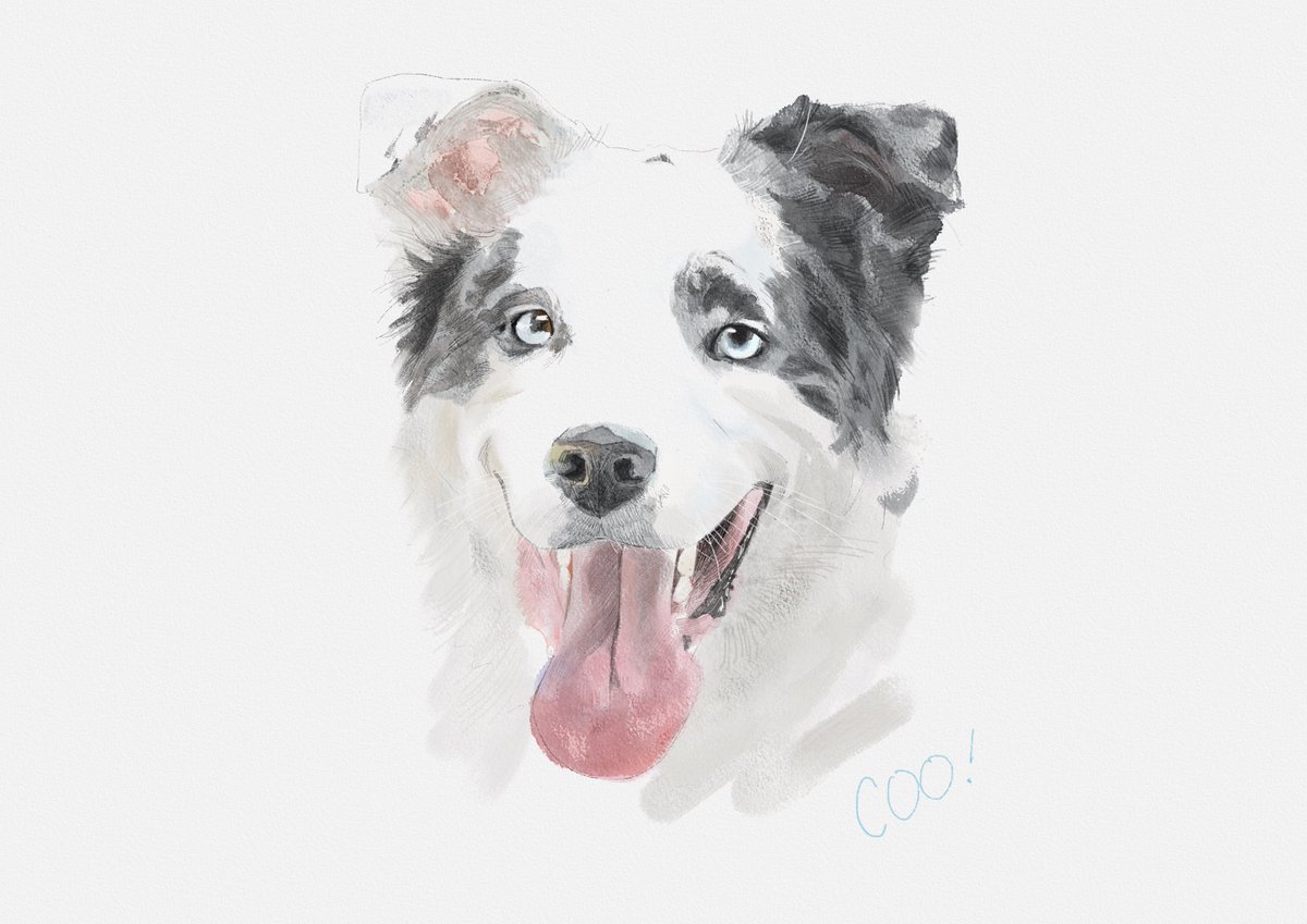 샴미 (@shammmi_) on Twitter photo 