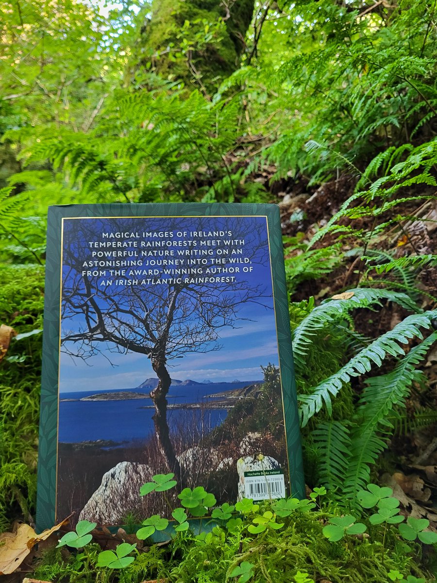 IrishRainforest's tweet image. After 2 years of work, I've finally taken delivery of an actual printed copy of my second book 'The Magic of an Irish Rainforest: A Visual Journey'.
I've done my best to capture the essence of these priceless, but mostly dying, ecosystems, and am over the moon with the results.