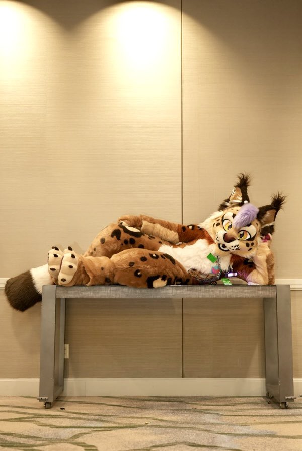 - ˏˋ oɿotoʞ ˊˎ - tweet media