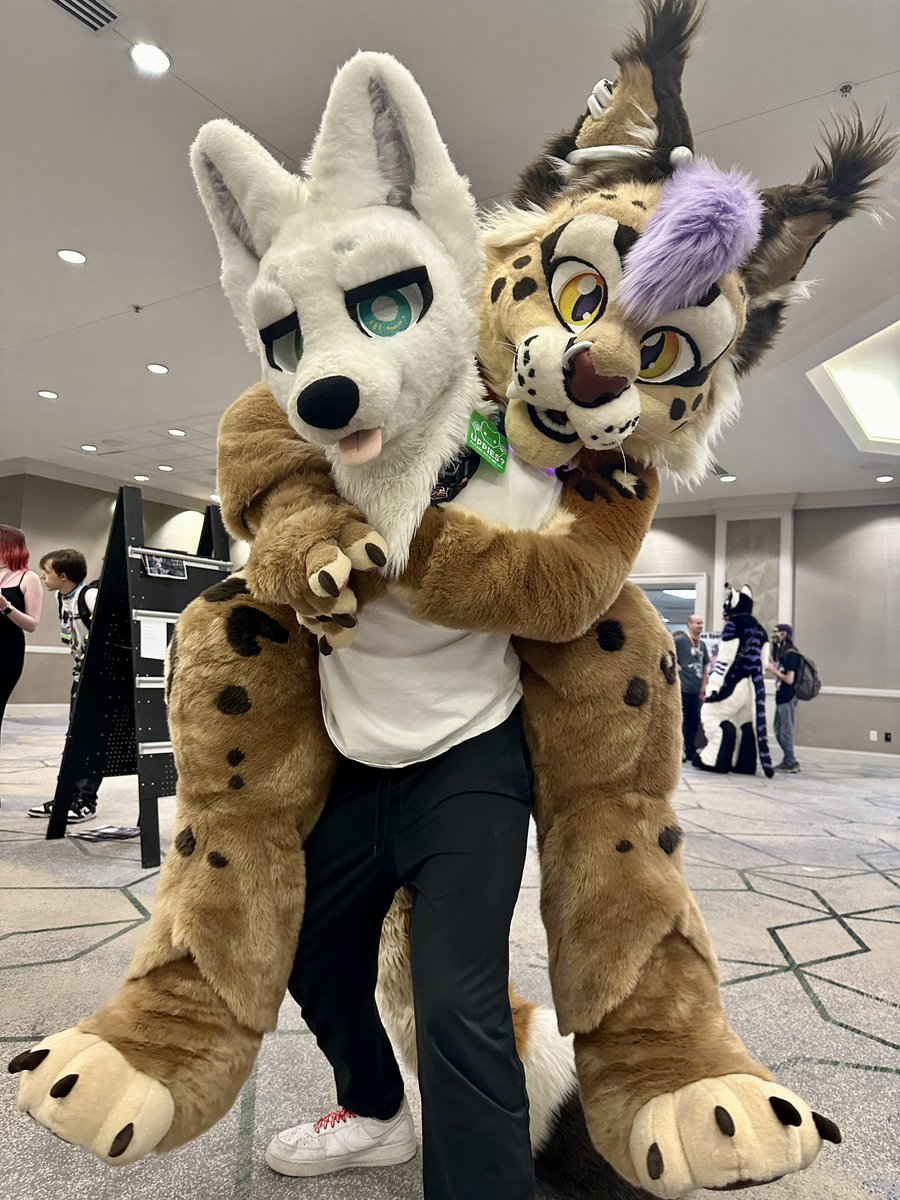 - ˏˋ oɿotoʞ ˊˎ - tweet media