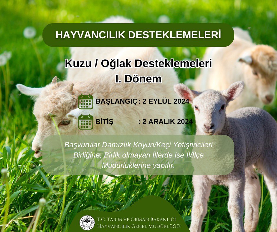 Kuzu /Oğlak Desteklemeleri 1. Dönem Başvuruları Başladı. 

🗓️ Başlangıç : 2 Eylül 2024
🗓️ Bitiş            : 2 Aralık 2024

<a href="/ibrahimyumakli/">İbrahim Yumaklı</a> 
<a href="/TCTarim/">T.C. Tarım ve Orman Bakanlığı</a>