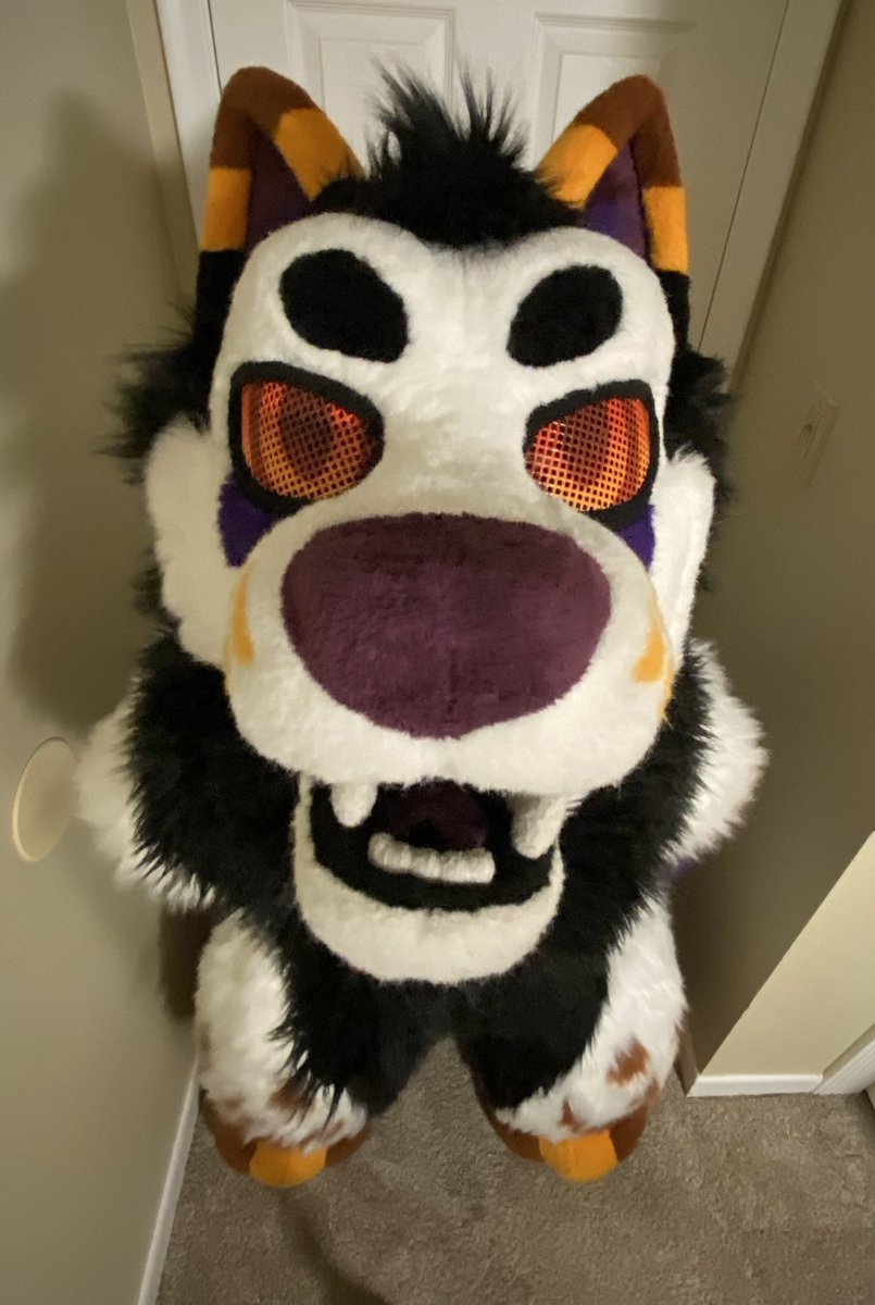 Hallow (@hallowjackal) on Twitter photo 