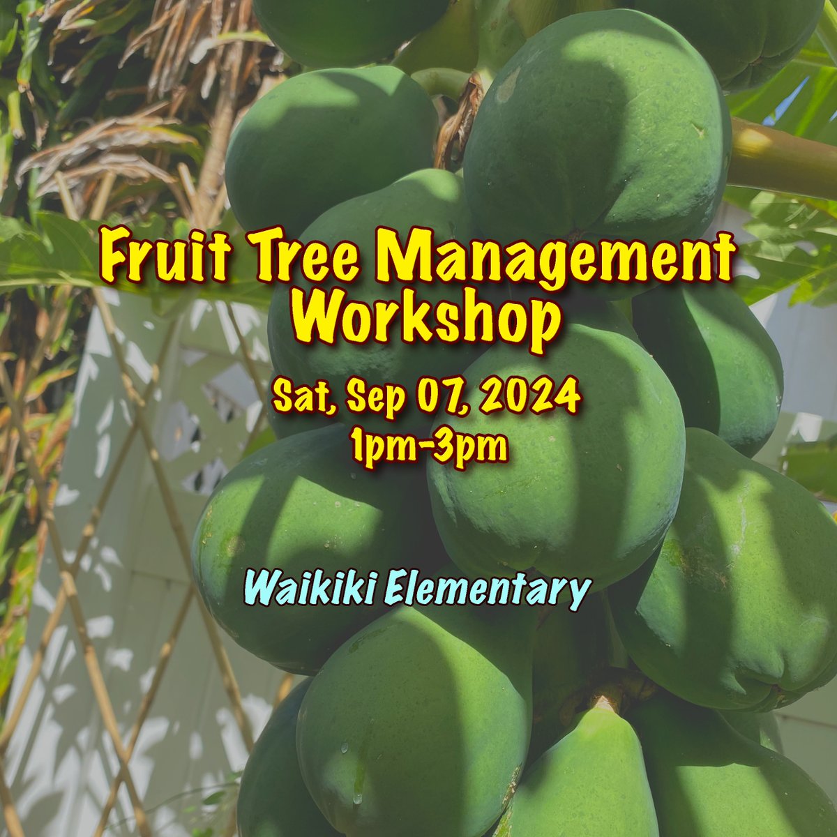 HIProRealty's tweet photo. Fruit Tree Management Workshop: Sep 07, 2024 , 1PM-3PM
#Honolulu #Oahu #Hawaii #HIProRealty
https://t.co/QWUIjwWKXa https://t.co/rJE8ykF2CE