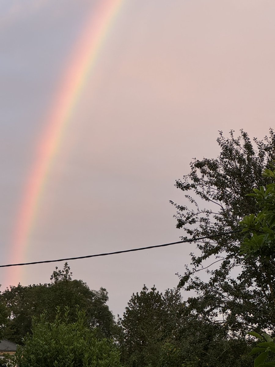 Hethersett Birdlife tweet media