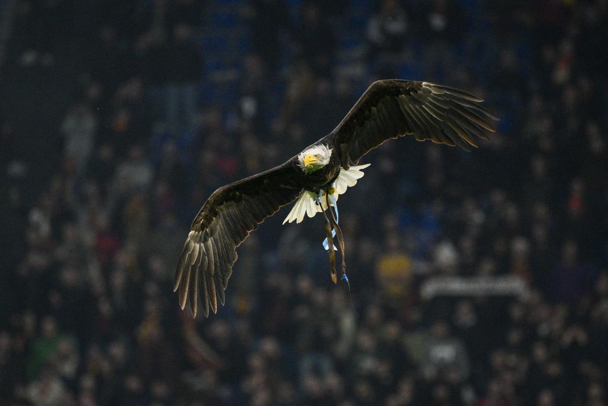 Lazio Primavera, Renzetti: “Adesso pensiamo al derby” dlvr.it/TCk0xw