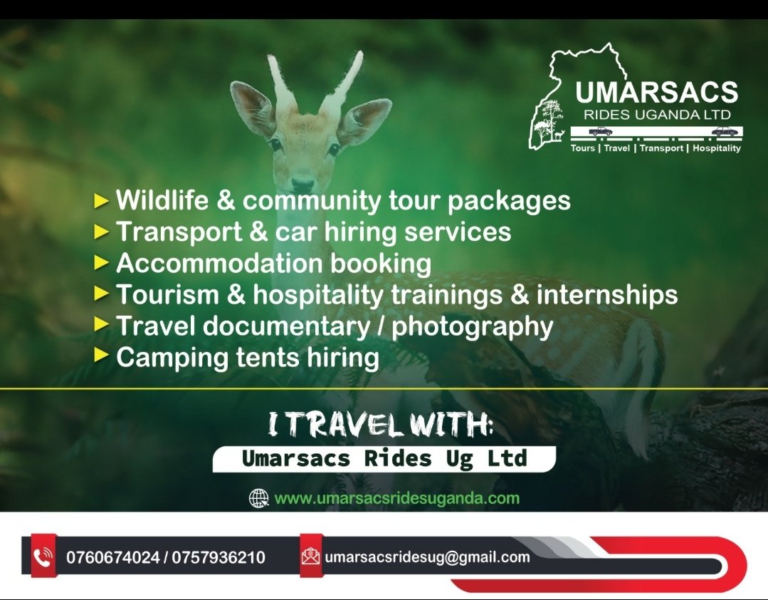 expert_tourist's tweet photo. We are available  and open 24/7. Make your bookings  with us today https://t.co/pIgVlRhHq9