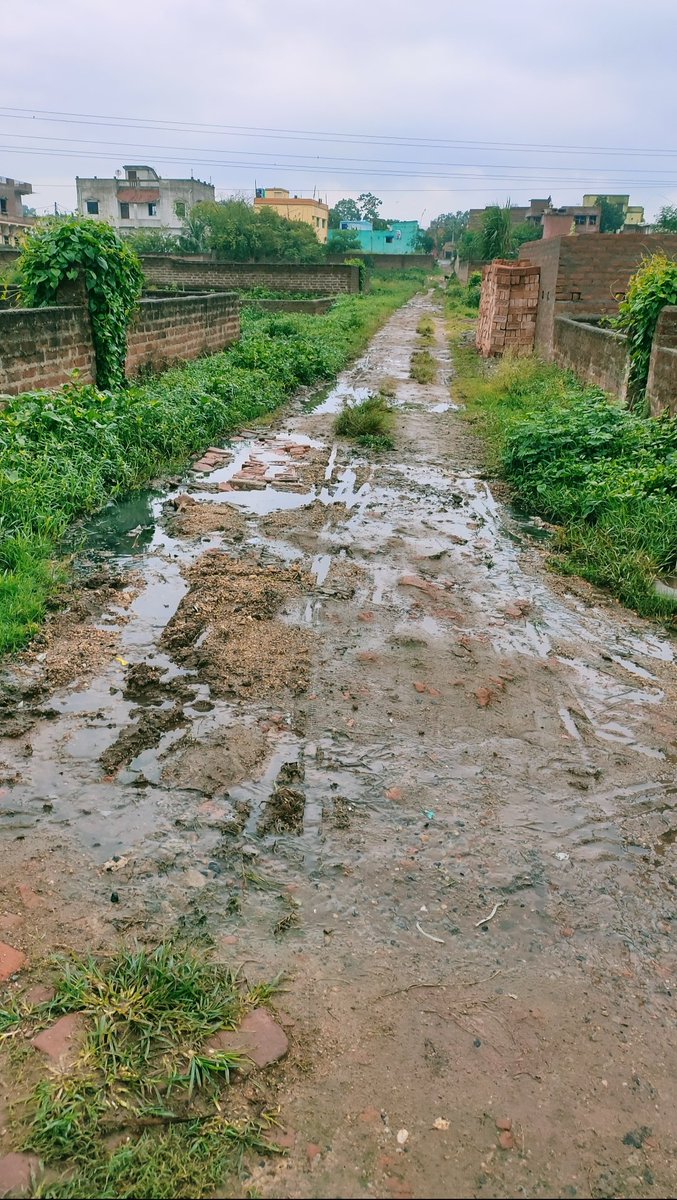 vvkrulz's tweet photo. Living in 2024 with such condition of passage since years,inspite of multiple followups with local councillor.

Shyambandh, Asansol Dakshin Constituency 
@amcasansol @PulakRoyAITC @paulagnimitra1 @ShatruganSinha @MORTHIndia Someone pls escalate this🙏 https://t.co/5EmU4vTrRX