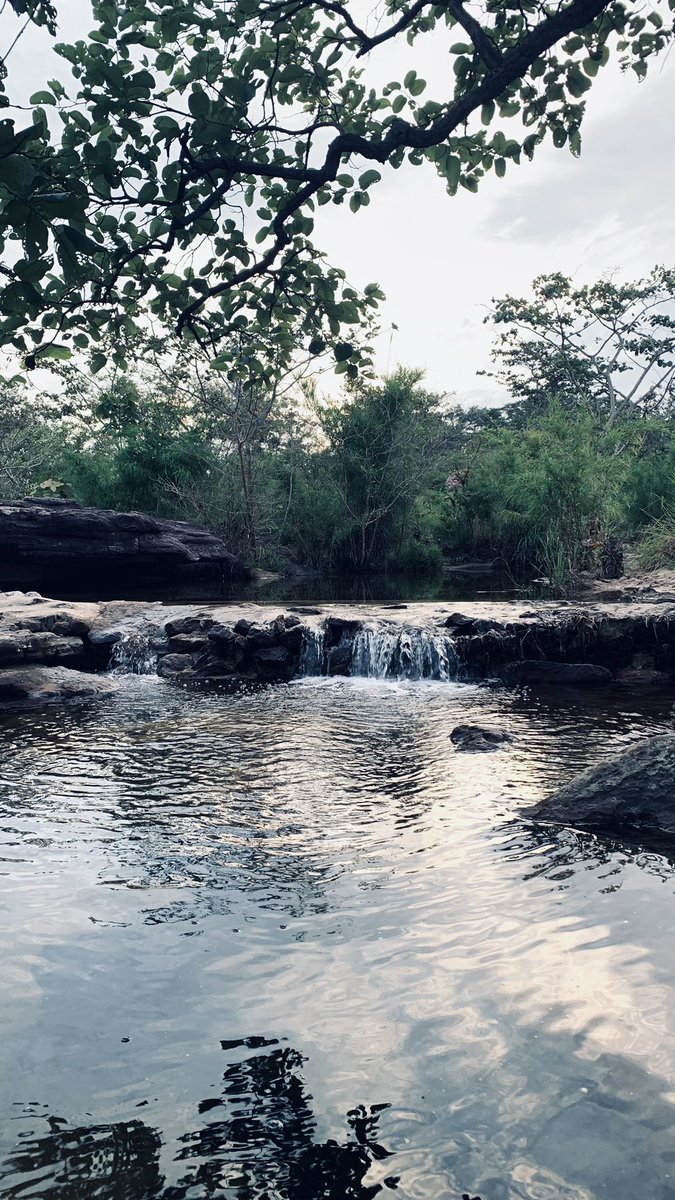 hackerr_weed's tweet image. แสงแดดที่มาในวันที่สาย ไม่สามารถช่วยชีวิตดอกทานตะวันที่เฉาตายกลับขึ้นมาได้หรอก