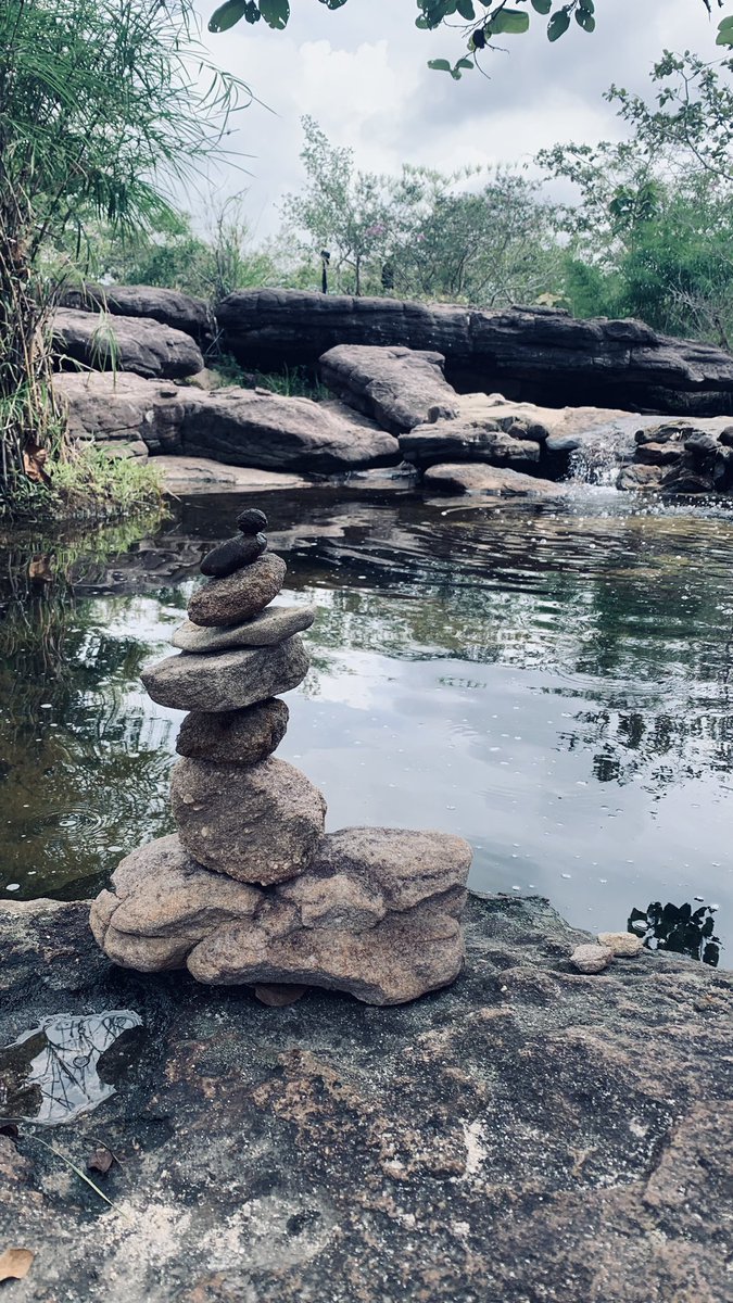 hackerr_weed's tweet image. แสงแดดที่มาในวันที่สาย ไม่สามารถช่วยชีวิตดอกทานตะวันที่เฉาตายกลับขึ้นมาได้หรอก