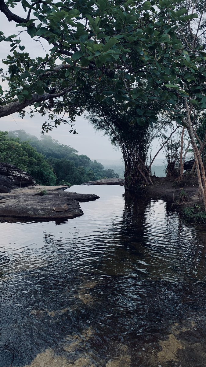 hackerr_weed's tweet image. แสงแดดที่มาในวันที่สาย ไม่สามารถช่วยชีวิตดอกทานตะวันที่เฉาตายกลับขึ้นมาได้หรอก