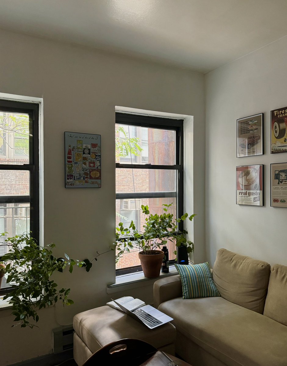 Stumbled into a nice moment this afternoon; reflecting over my personal statement and ERAS application. Perfect weather, sunshine trickling in, and a gentle breeze flowing over the motia flowers. Feeling grateful for the little wins and losses. Best of luck to everyone!