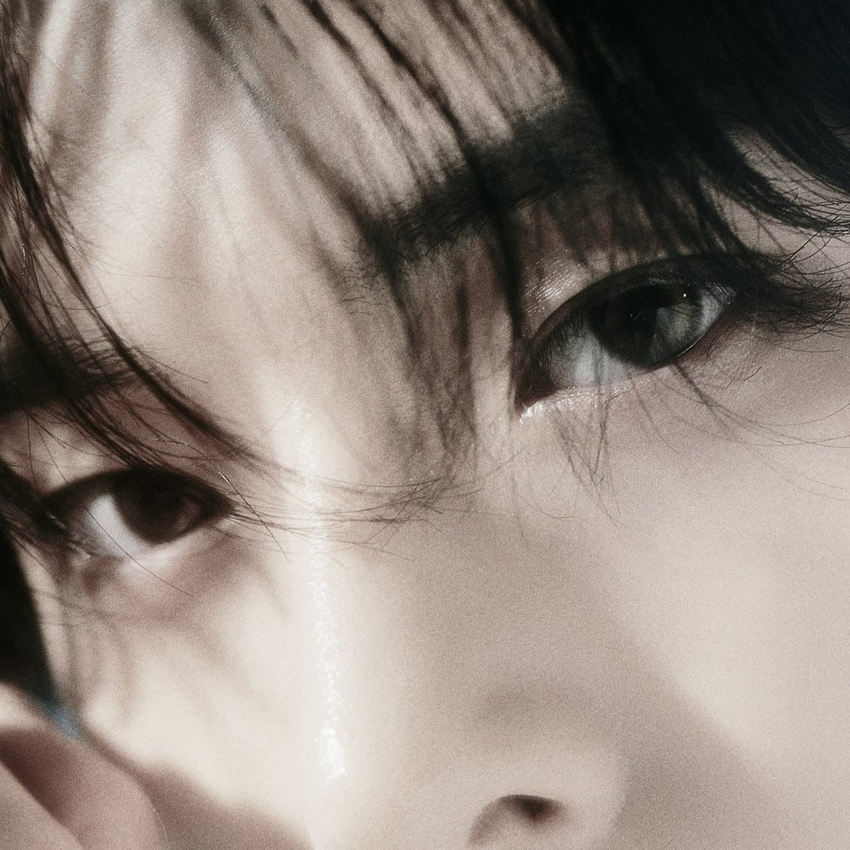 sjyfolder tweet picture