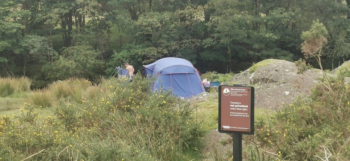 Terry Abraham tweet media