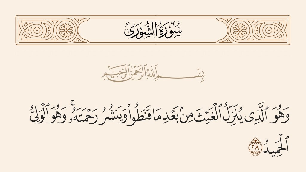 mohammedmsw's tweet photo. https://t.co/L9PgK2gath
