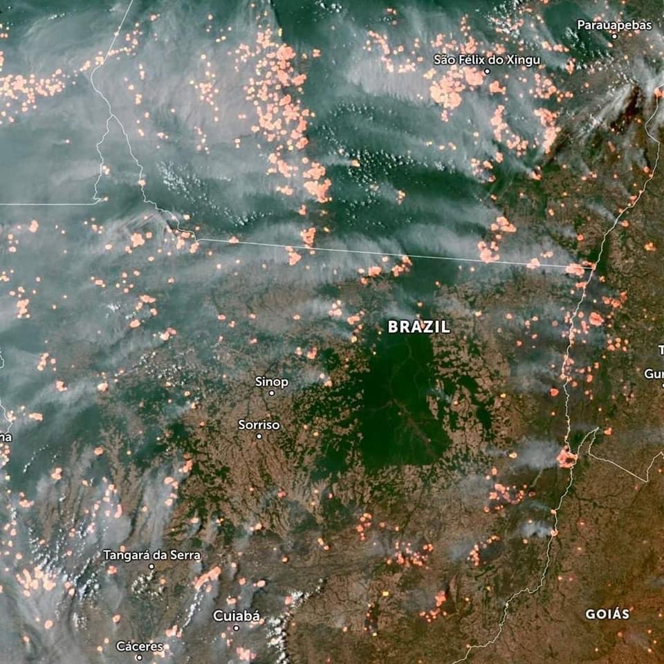 headgunaf's tweet photo. A loucura humana não tem limites...
Assim destruímos a maior floresta e pulmão do mundo... #Amazónia #Brasil 🇧🇷
🔴 Queimadas 
🩶 Fumo
Que triste! https://t.co/MPIlRTQaLz