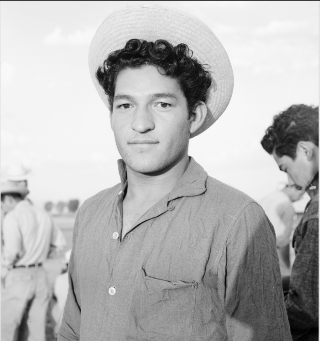 ucmercedlib's tweet image. Photos by George Ballis &amp;amp; Ernest Lowe from UC Merced Library’s Archives &amp;amp; Special Collections are featured in the research guide by graduate student researcher Carlo Acevedo on the history of the labor movement for @ucmercedclc: brnw.ch/21wMhDp

#UCMercedLibrary #LaborDay