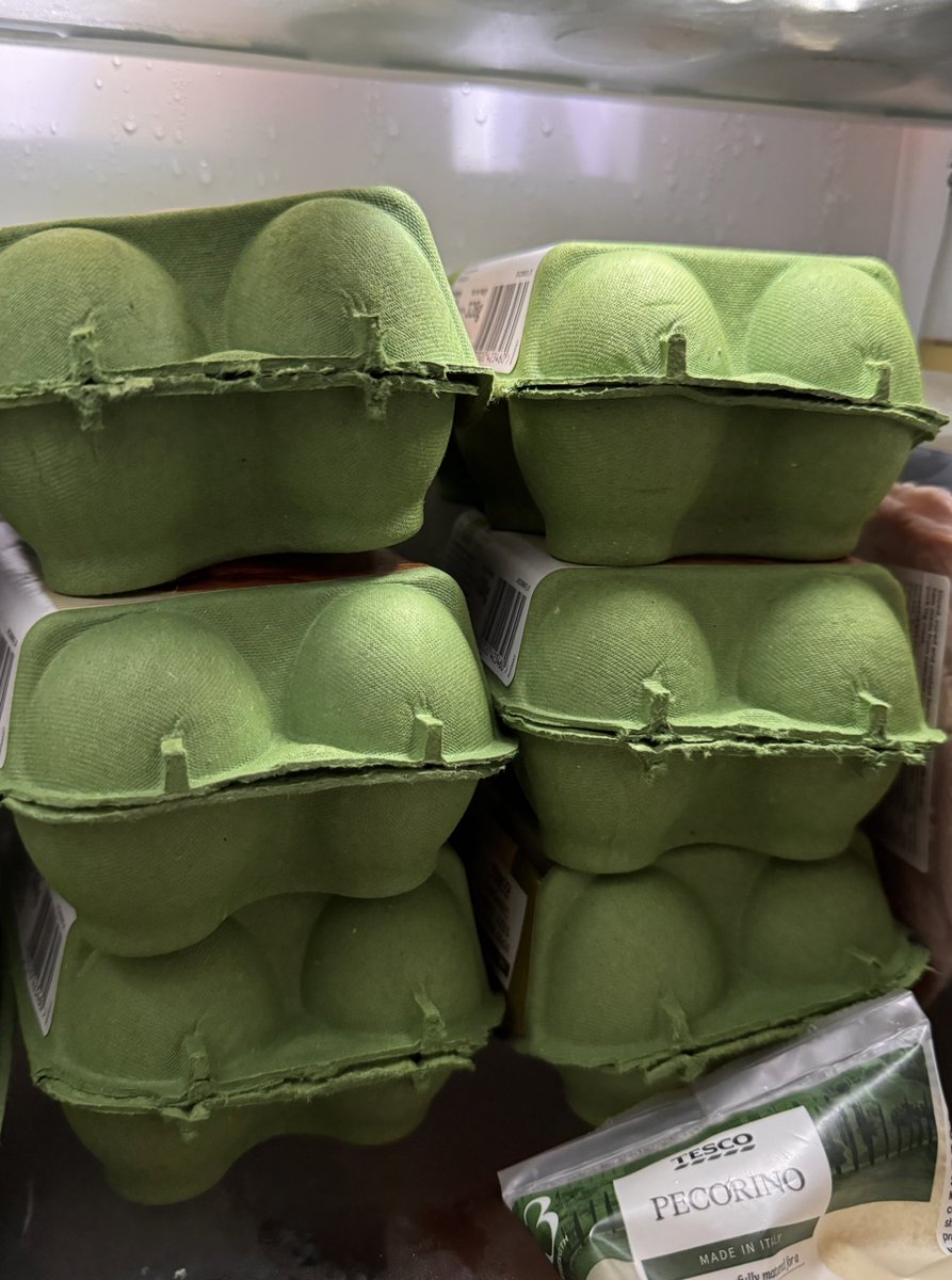 Thomas Skinner ⚒ tweet media