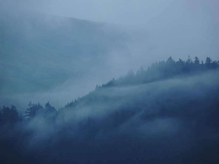 The Bassenthwaite Valley in the Lake District this morning just before the rain arrived.