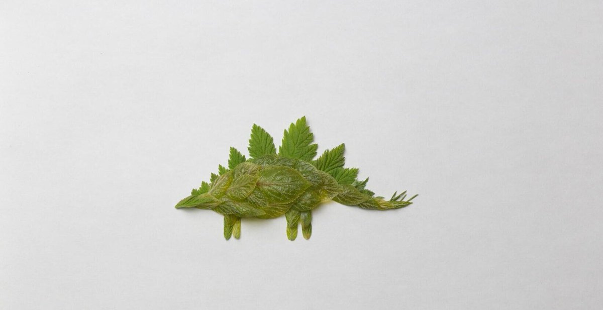 Hele_BR's tweet photo. Escultura en miniatura sobre dinosaurios hechos con hojas https://t.co/jzZGZYksLK https://t.co/vrqqCV1fS8