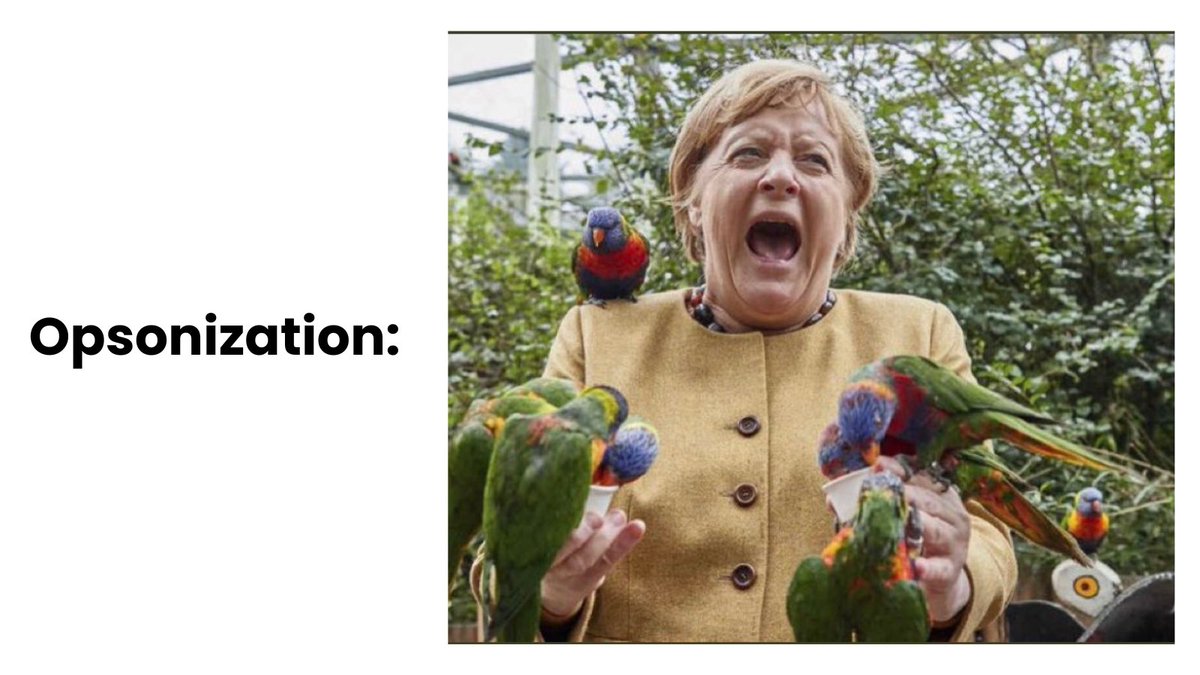 #mememonday 🍽️ #antibuddiespodcast