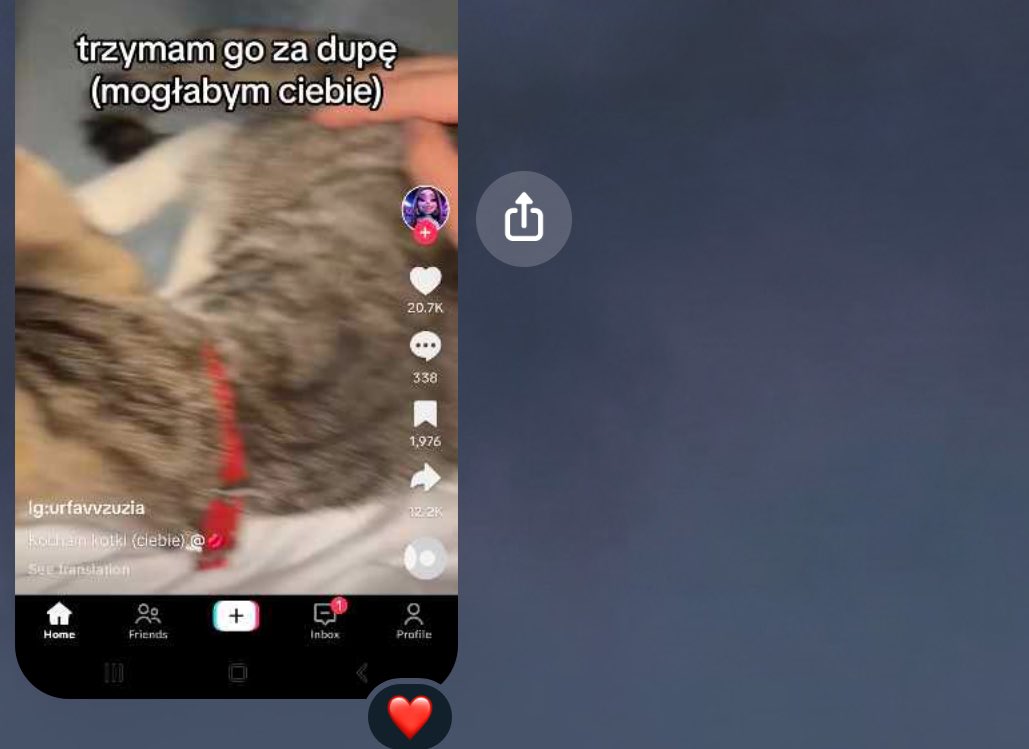 Jvlka tweet media