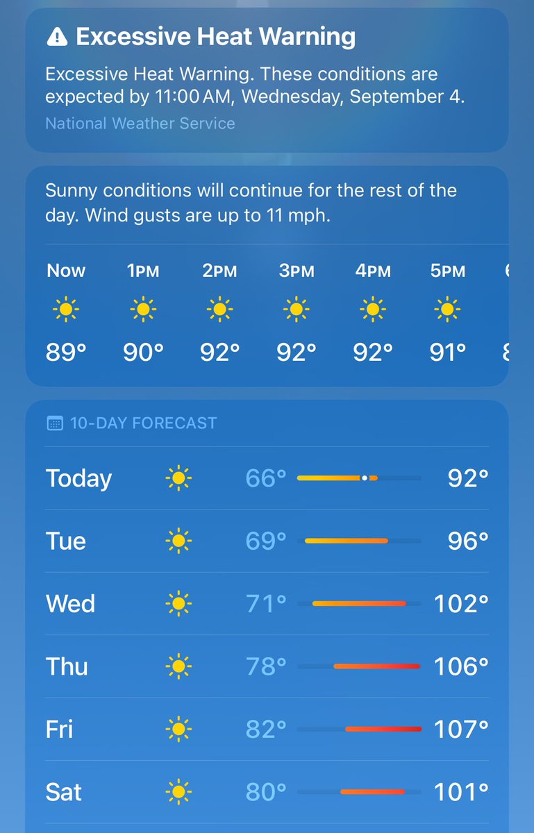 Jeanine Schaefer tweet media