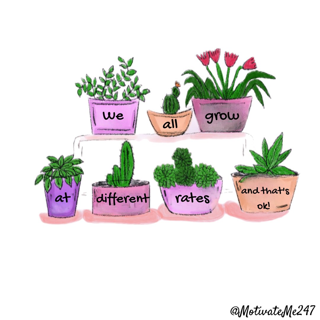 LifeMoneyMindset tweet media