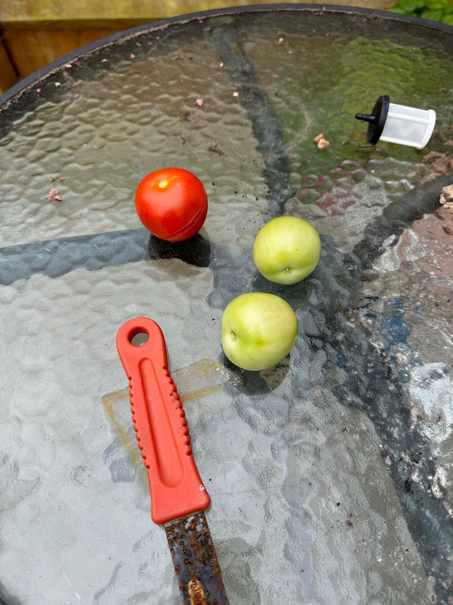 Kate Burton tweet media