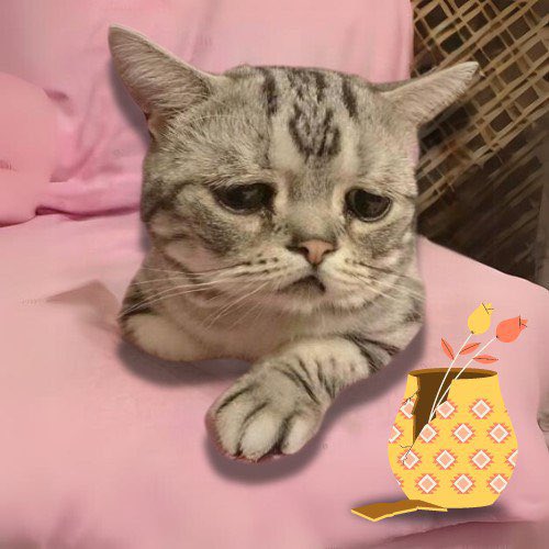 <a href="/MrBigWhaleREAL/">Mr. WHALE</a> Big pump and a little heart $BROKEN

CA

3AeTSnieyc7hgwhxxp6WuCejB7yPAdum8XFGvw5m12uQ
