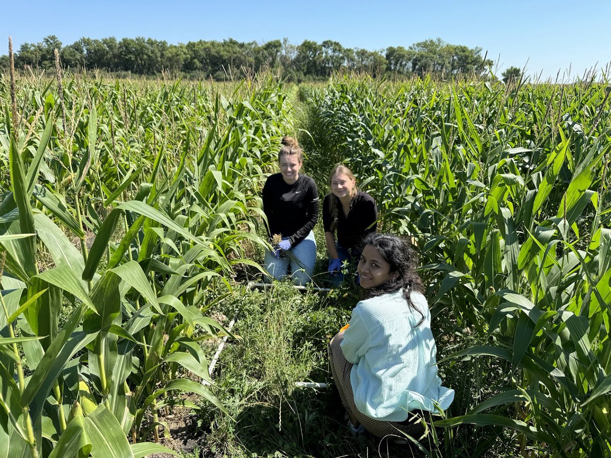 Mriganka De tweet media