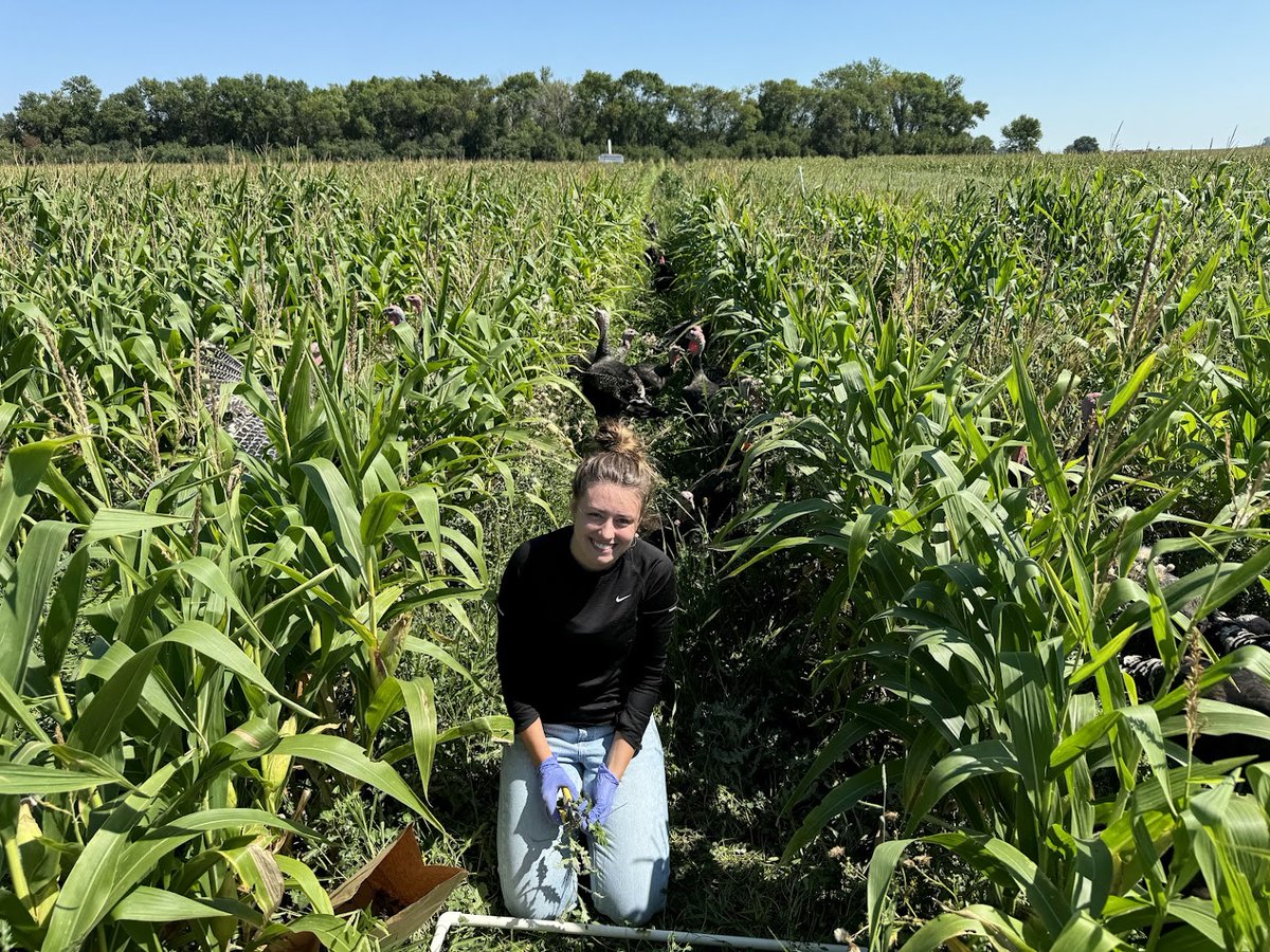 Mriganka De tweet media