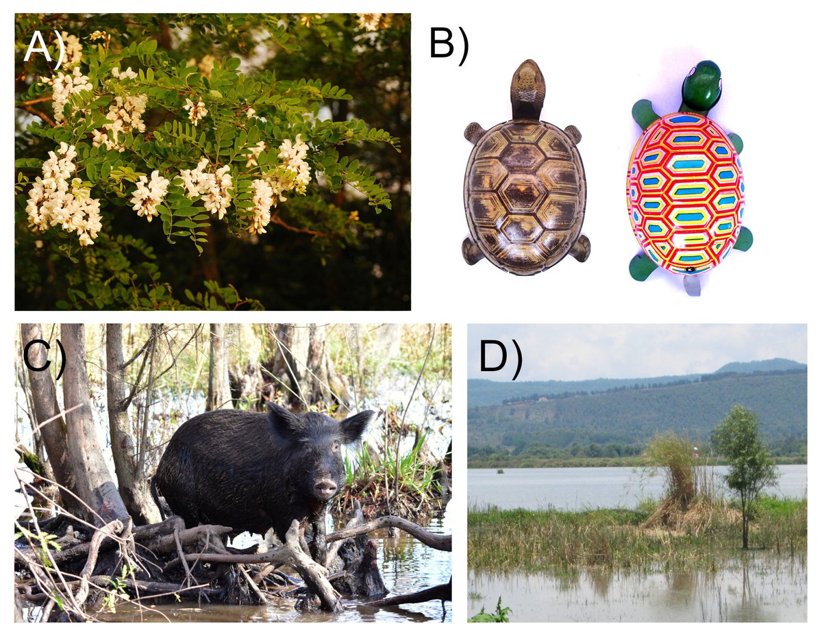 Ivan Jaric | from now on at @ivanjaric.bsky.social tweet media