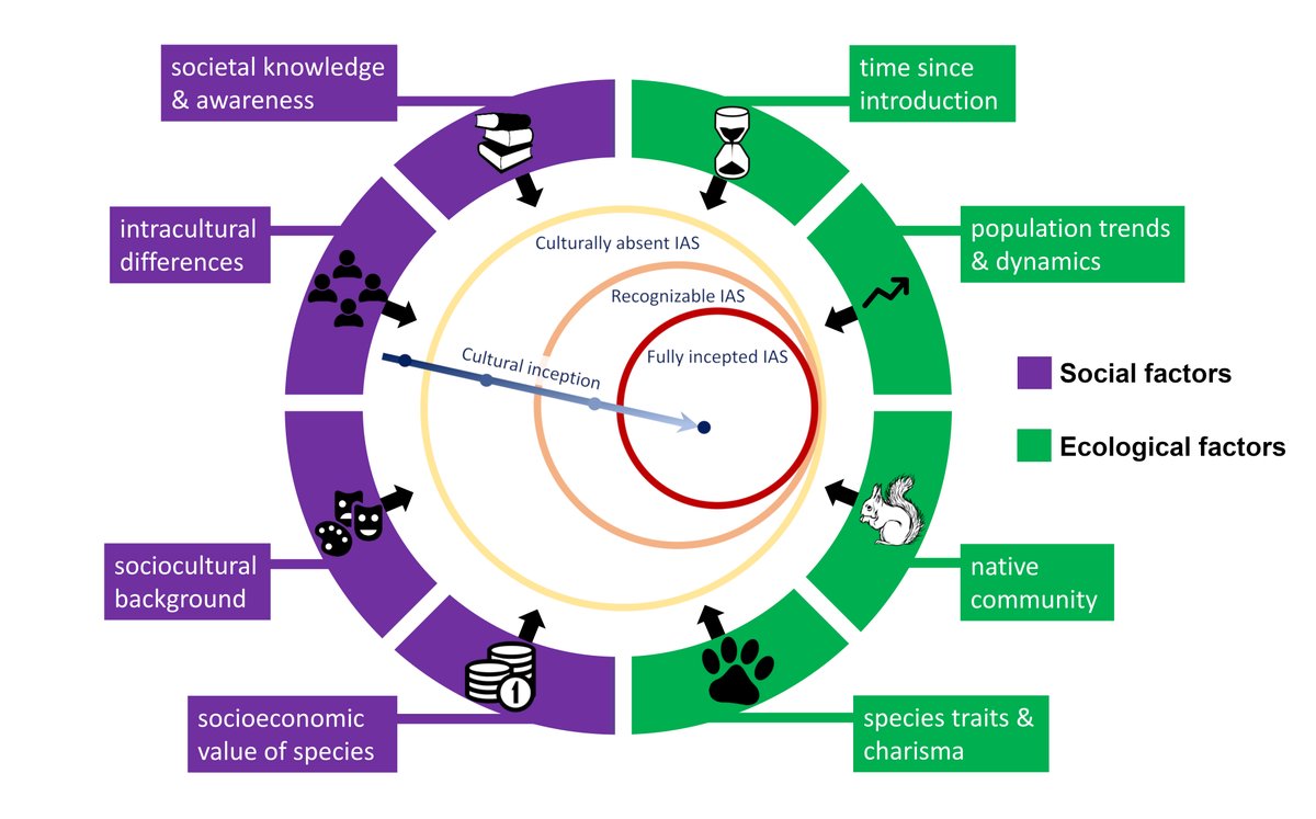 Ivan Jaric | from now on at @ivanjaric.bsky.social tweet media