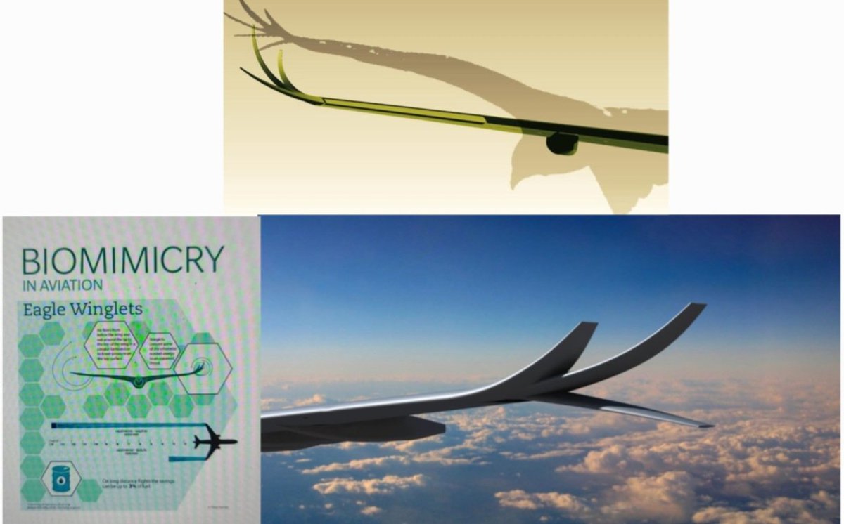 MohAlzeer's tweet photo. خلال السبع سنوات الماضية وباستخدام علم ال Biomimicry عملت مجموعتنا (ماز السعودية) على تطوير تقنيات لتحسين أداء أجنحة الطائرات لخفض الإنبعاثات الكربونية الناتجة عن تشغيل الطائرات، وسوف نبداء بإذن الله رحلات الاختبار على طائرة من طراز ايرباص ٣٣٠  وتوطين هذه التقنيات في المملكة خلال عام ٢٠٢٥م. 
ولحماية إختراعنا حصلنا على عدة براءات إختراع دولية، هذا الأسبوع تكللت جهودنا بحصولنا على براءة إختراع من جمهورية الصين الشعبية، تضاف إلى ستة (٦) براءات إختراع حصلنا عليها من الولايات المتحدة الأمريكية والإتحاد الأوربي. 
🇸🇦🇸🇦 التطبيق العملي لرؤية ٢٠٣٠ المباركه 🇸🇦🇸🇦