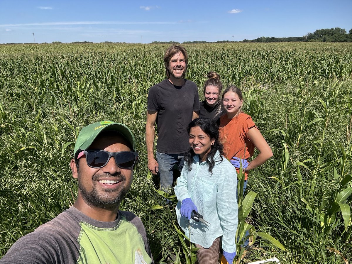 Hannah Lee and Bianca Penkert, both undergraduate students, dedicated their #LaborDay weekend to collecting #covercrop and #weed biomass at <a href="/scott_bluedirt/">Scott Haase</a>. They are working alongside Sovika Bhattarai, a graduate student. Great job! 👏#proudmentor 
<a href="/CSET_MNSU/">CSET at MSU Mankato</a> <a href="/MNagriculture/">Minnesota Department of Agriculture</a>