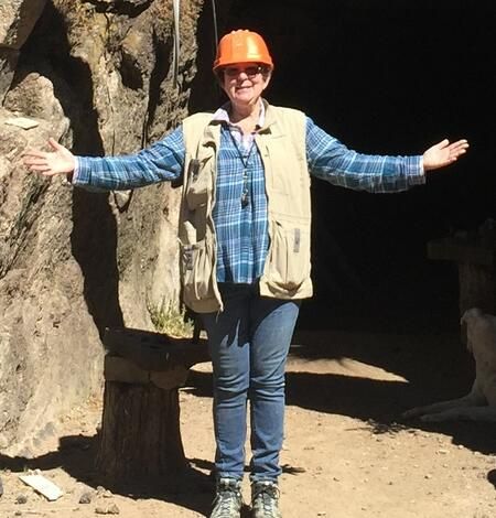 Geological Society of Washington tweet media