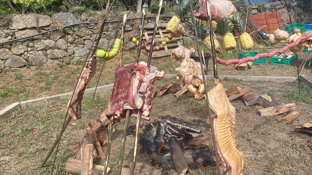 Albert Visser tweet media