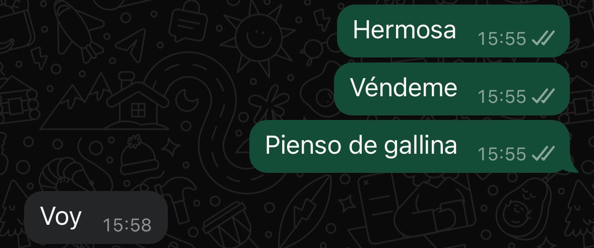 carmen🦦 tweet media