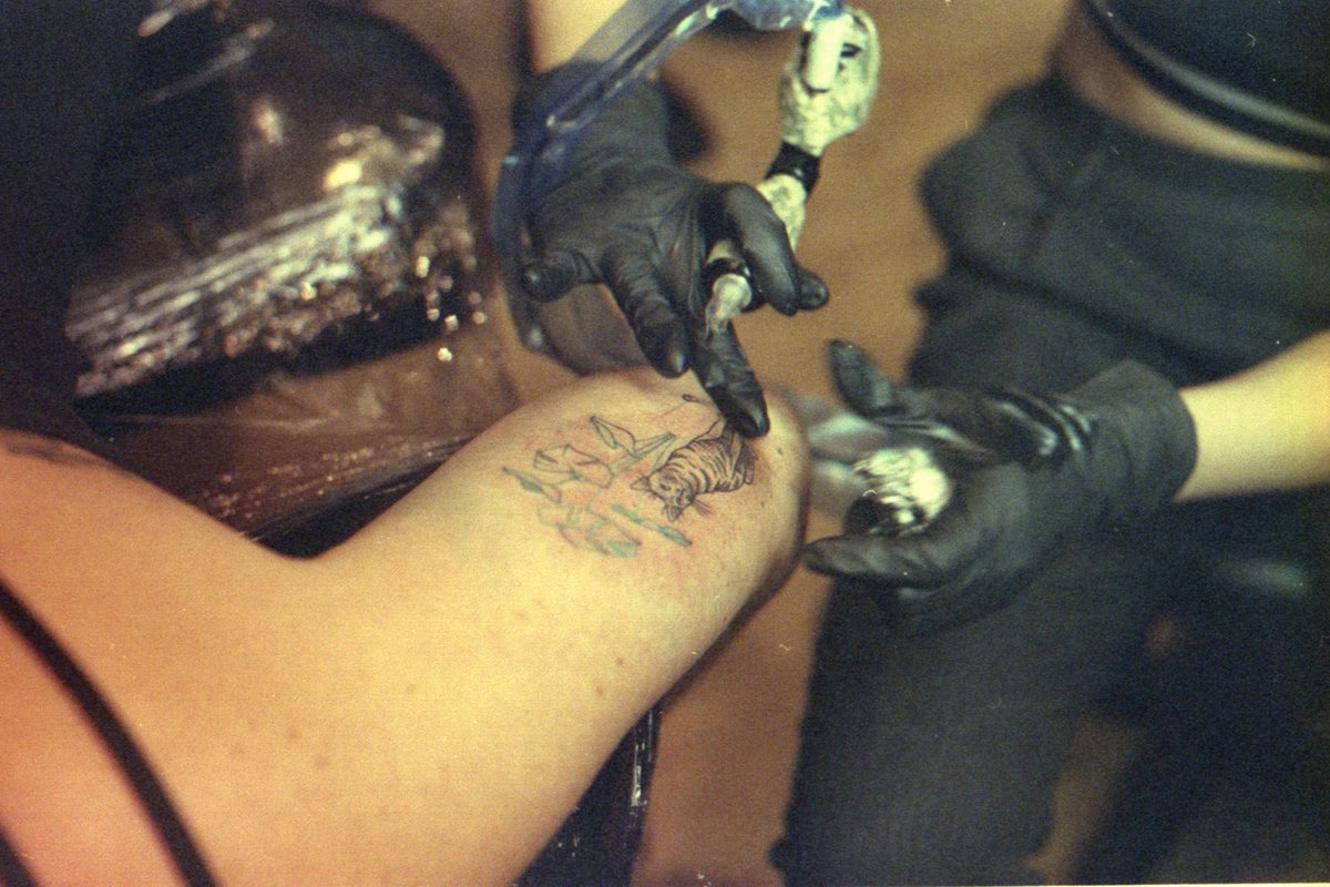 estela gómez tweet media