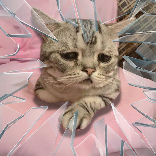 <a href="/MinisterOfNFTs/">MinisterOfNFTs 🔮</a> That must make you a little Heart $BROKEN?

CA

3AeTSnieyc7hgwhxxp6WuCejB7yPAdum8XFGvw5m12uQ
