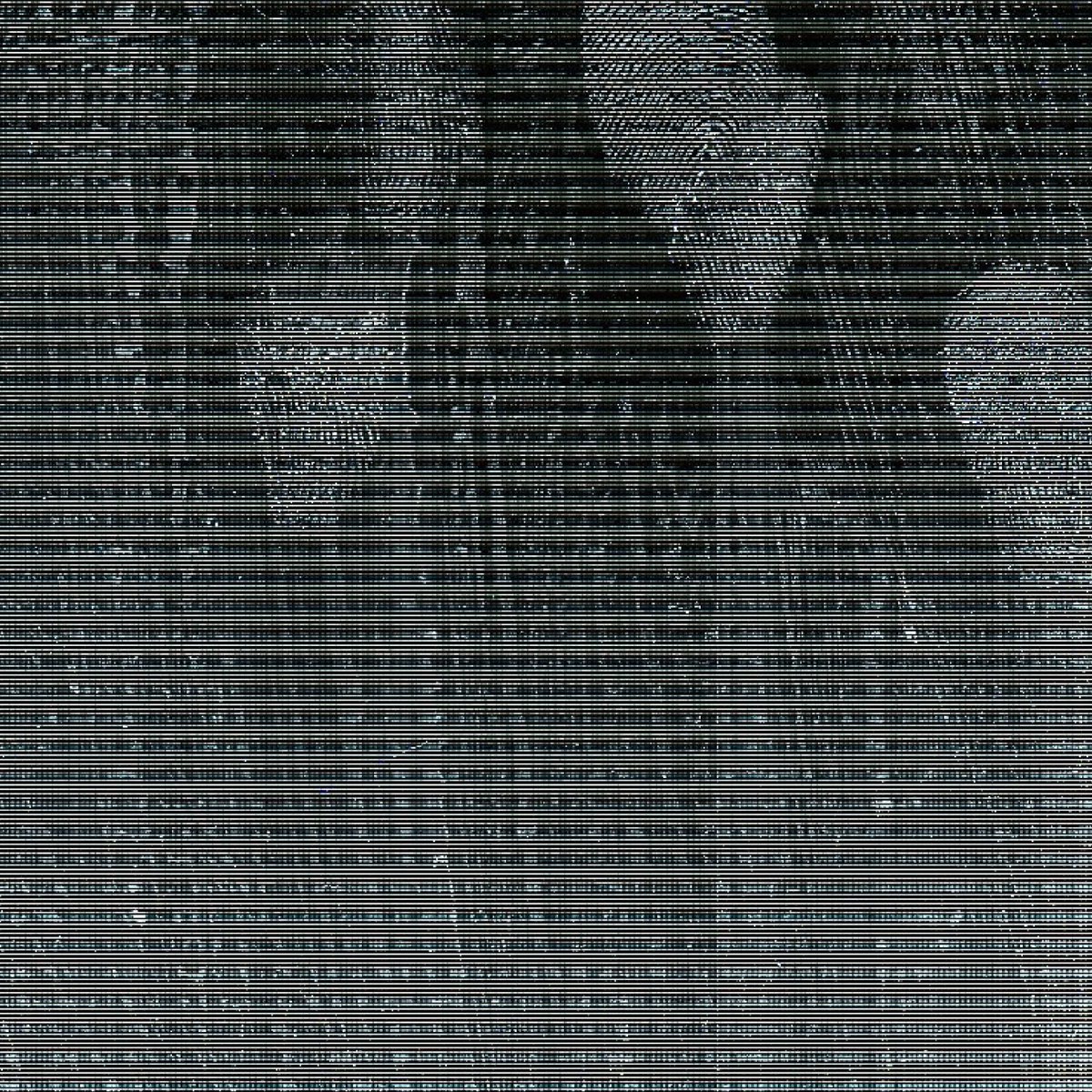 swzydzn's tweet photo. 4K scan textures: https://t.co/111wRAQZk6