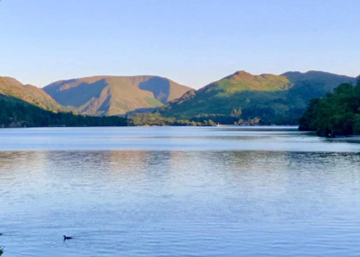 Angela Brady tweet media