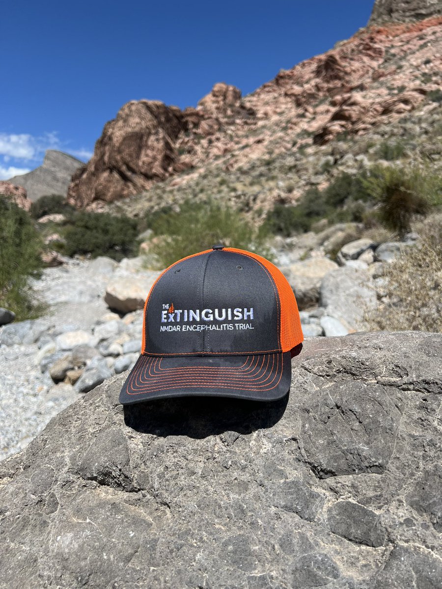 extinguishtrial's tweet image. Autoimmune Encephalitis can be incredibly isolating, especially when it seems no one has heard of it, let alone can understand the recovery process for a brain that has been “on fire” 🔥.  We promise ❤️ - you’re not alone, and everyday we are working &amp;amp; raising awareness.