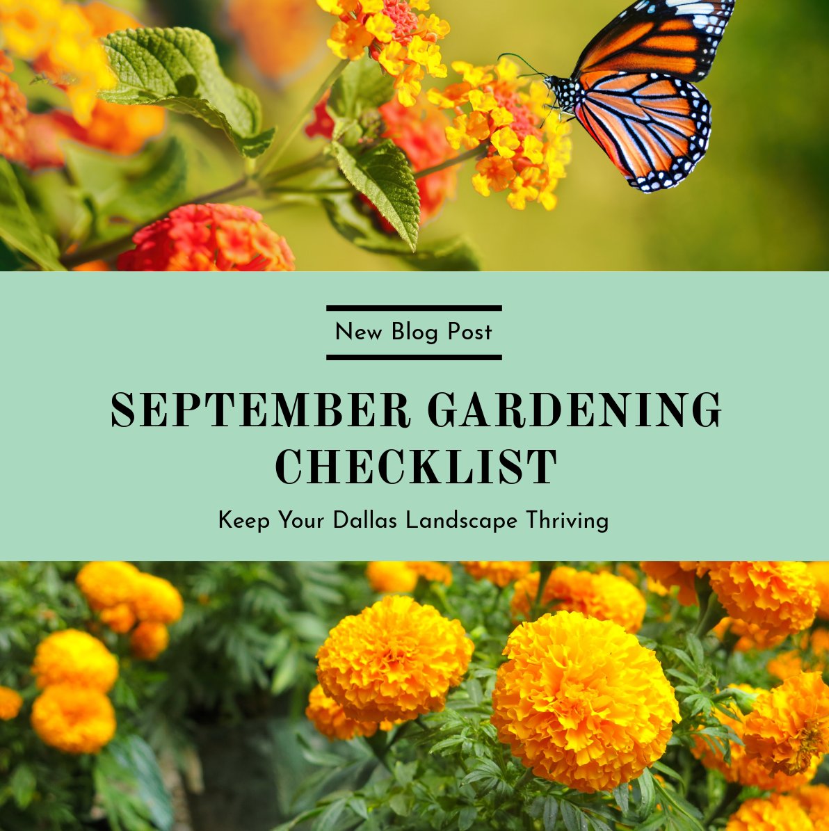 Blog Post Update 8/2/24: September is the perfect time to refresh your garden and set it up for success in the cooler months ahead!

👉 [Read more] (ecomow.com/september-gard…)