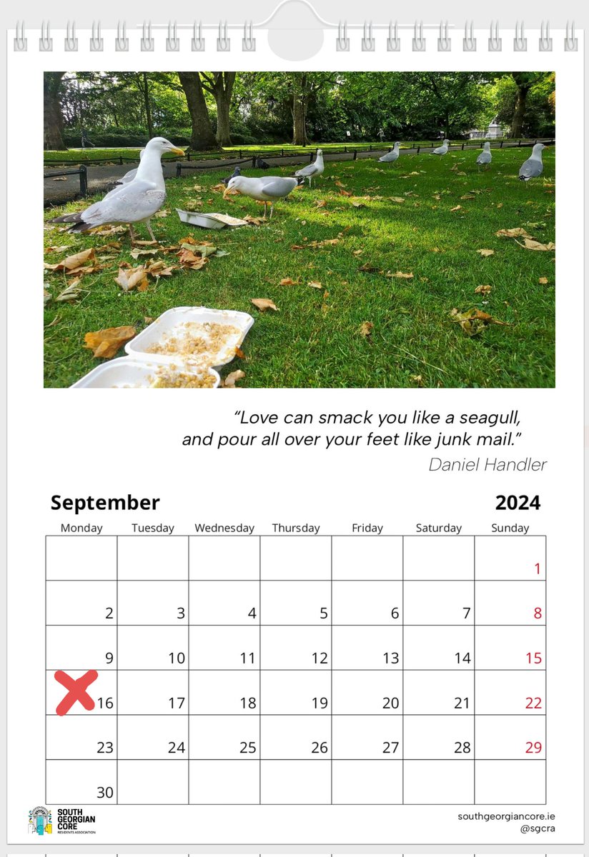 The new waste management and street cleaning measures announced by DCC this evening sound very promising. And great to see progress while our seagull calendar is still current! Looking forward to hearing more details. And hoping we won't need a 2025 calendar edition now!