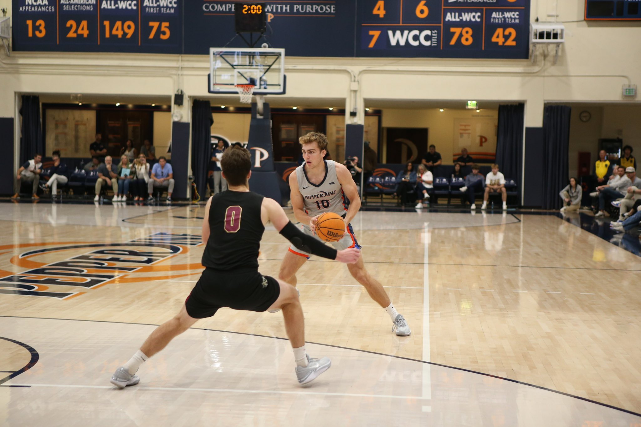 Paul jordan basketball online